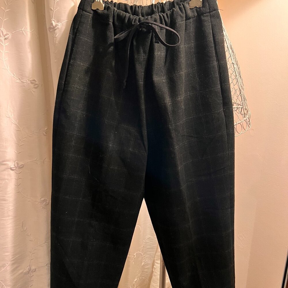 Aritzia Jimmy Pant